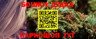 гидра Бузулук