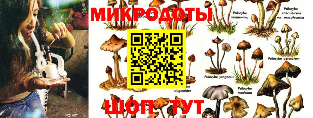 Псилоцибиновые грибы мухоморы  что такое наркотик  Мегион  Вход с VPN  Галлюциногенные грибы Magic Shrooms 