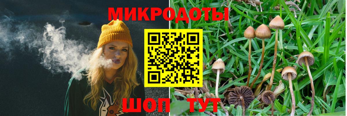 Псилоцибиновые грибы ЛСД Мегион