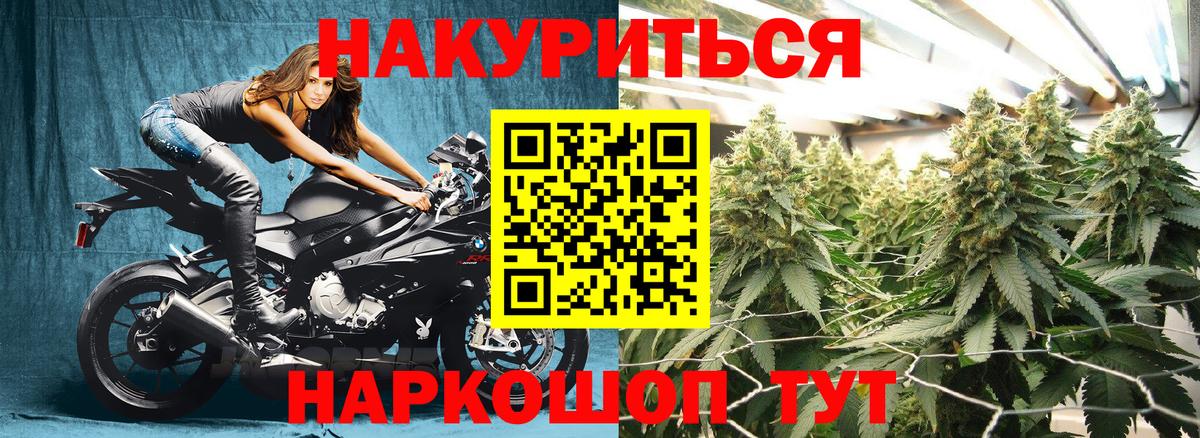 Конопля конопля Мегион
